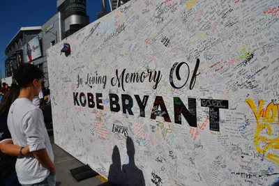 DSC_7116 (Large).JPG